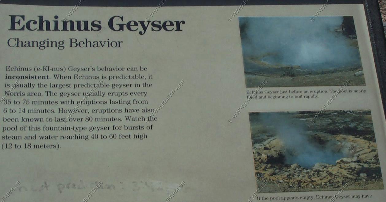 Echinus Geyser
